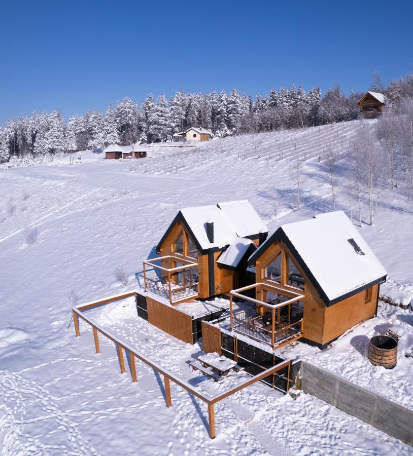 Cortina Resort Ivanjica Kültér fotó